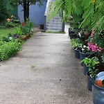 Katata Spacious House Floor With Terraces, 3 Bedrooms, Parking,wi-fi דירה *